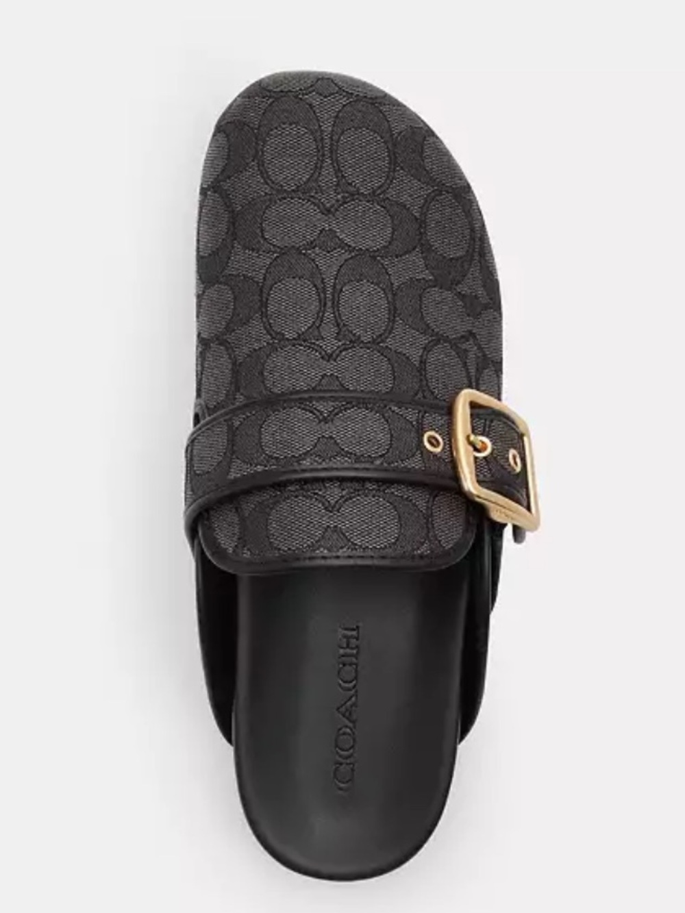 Coach Archival Buckle clog